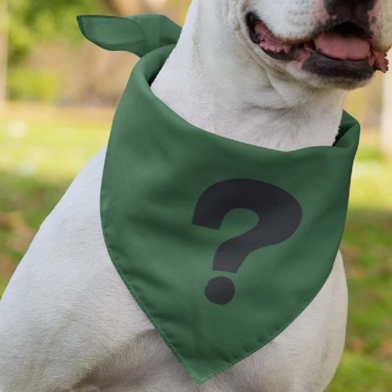 Mystery Dog Bandana - Doggie Bandana