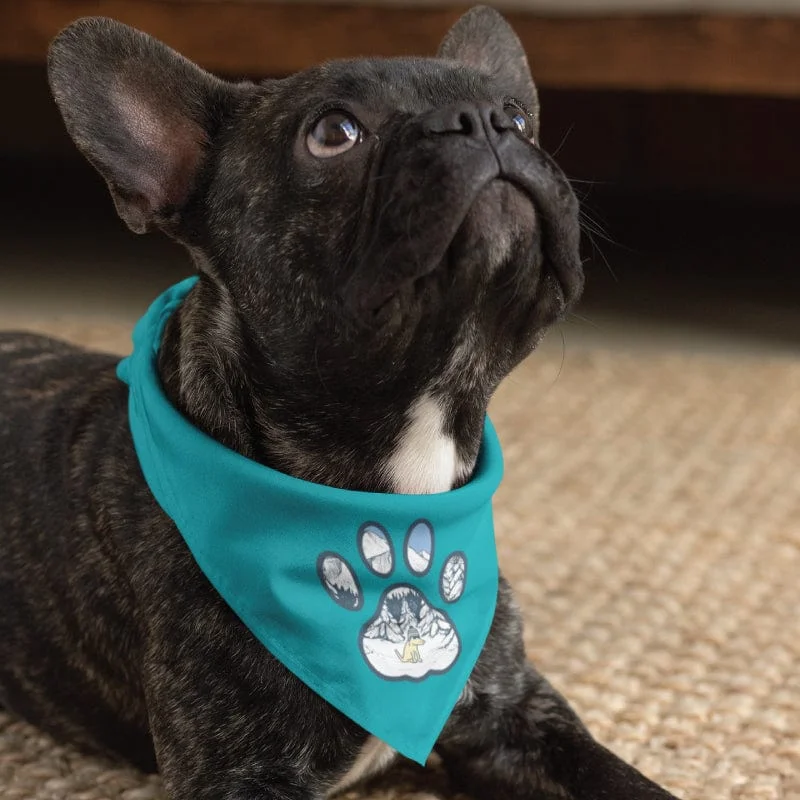 Winter Paw - Doggie Bandana