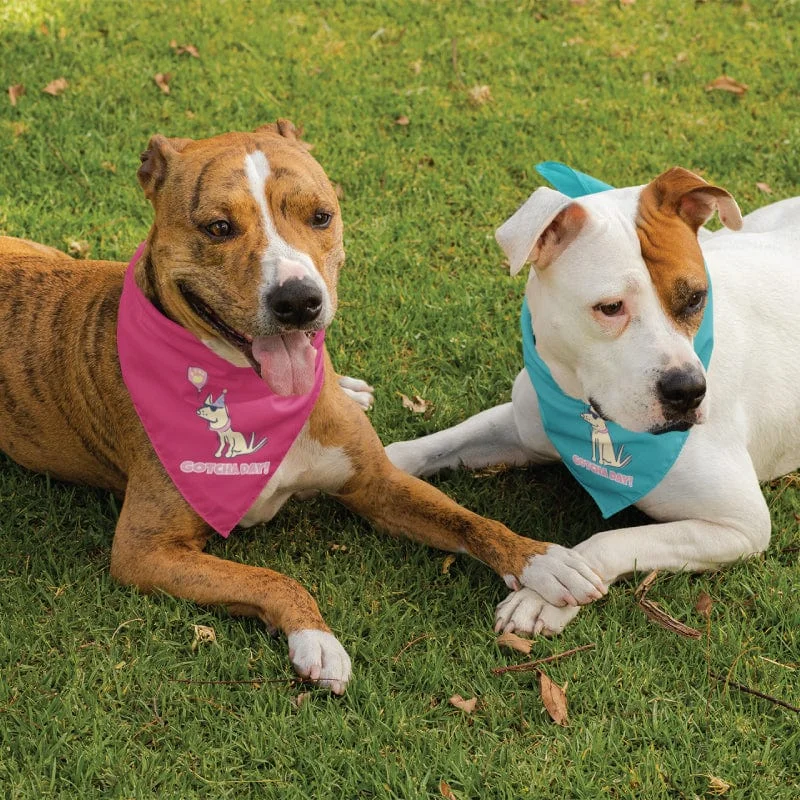 Gotcha Day - Doggie Bandana