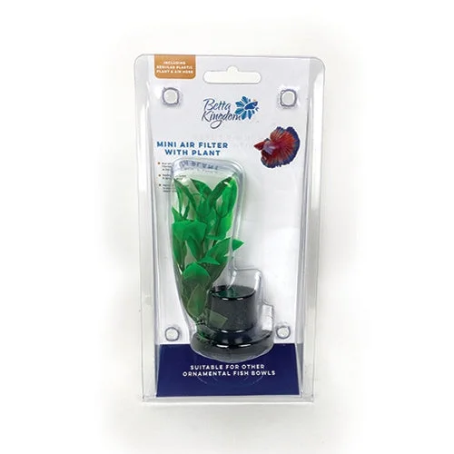 BETTA KINGDOM MINI PLANT