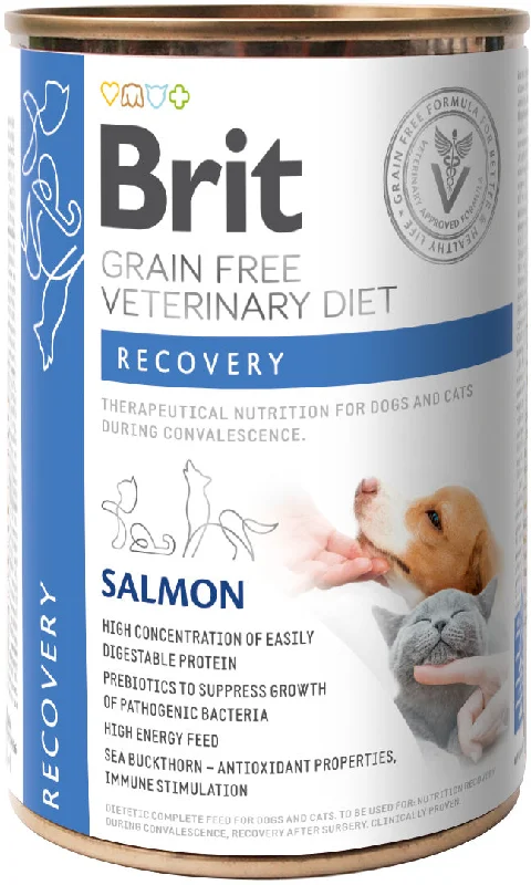 BRIT VD Recovery Conservă pentru câini şi pisici 400g