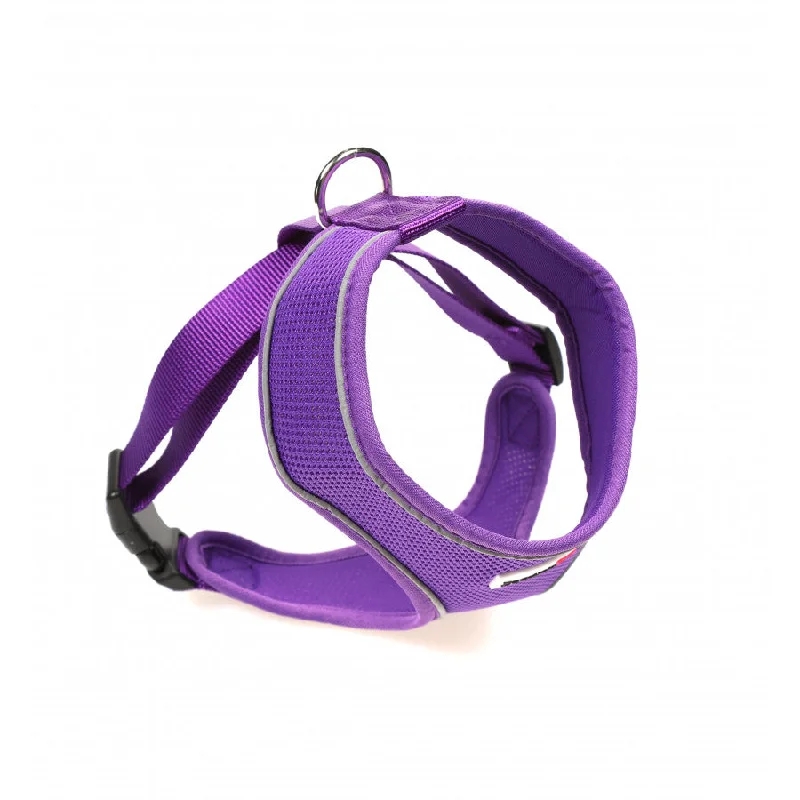 Doodlebone - Originals Airmesh Harness - Violet - Size 4-5