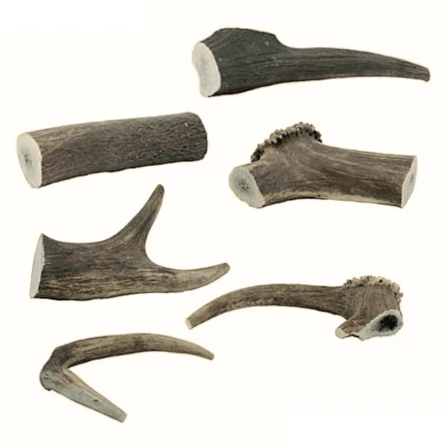 The Wild Antler Co. - Antler Chew - Xlarge (150g - 220g)